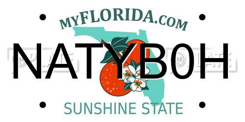 NATYB0H Florida License Plate