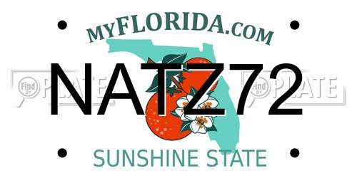 NATZ72 Florida License Plate