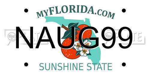 NAUG99 Florida License Plate