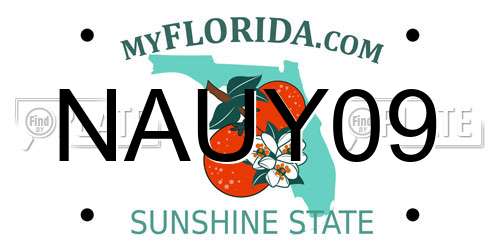 NAUY09 Florida License Plate