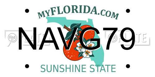 NAVG79 Florida License Plate
