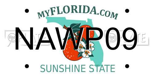 NAWP09 Florida License Plate