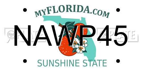 NAWP45 Florida License Plate