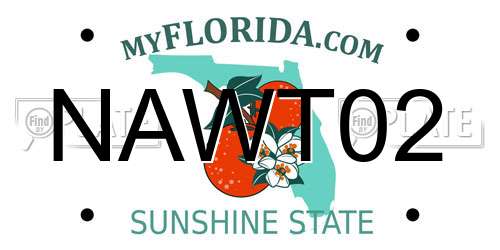 NAWT02 Florida License Plate