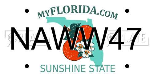 NAWW47 Florida License Plate