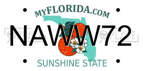NAWW72 Florida License Plate