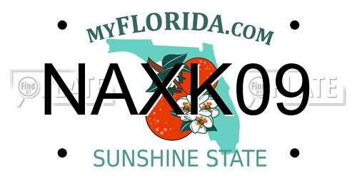 NAXK09 Florida License Plate