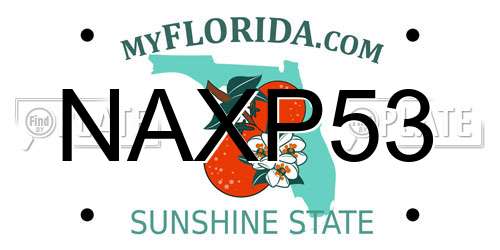 NAXP53 Florida License Plate
