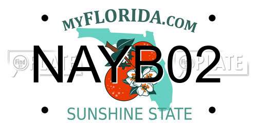 NAYB02 Florida License Plate