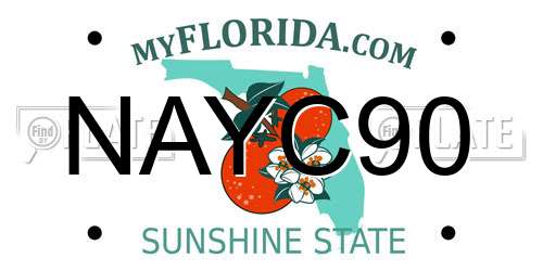 NAYC90 Florida License Plate