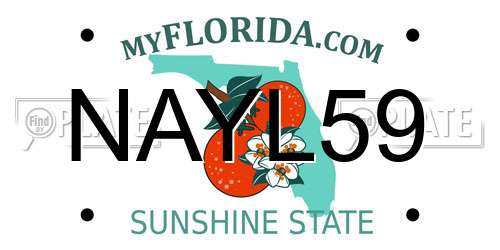 NAYL59 Florida License Plate