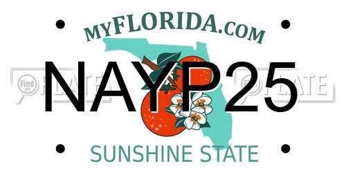 NAYP25 Florida License Plate