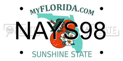 NAYS98 Florida License Plate