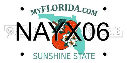 NAYX06 Florida License Plate