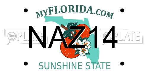 NAZ14 Florida License Plate