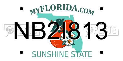 NB2I813 Florida License Plate