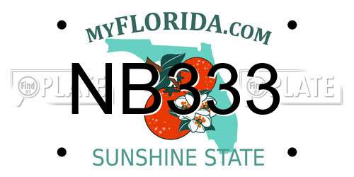 NB333 Florida License Plate