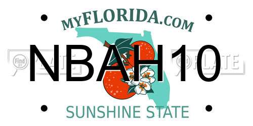 NBAH10 Florida License Plate