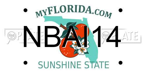 NBAI14 Florida License Plate