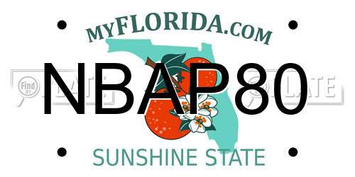 NBAP80 Florida License Plate