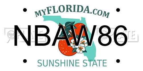 NBAW86 Florida License Plate