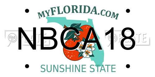 NBCA18 Florida License Plate