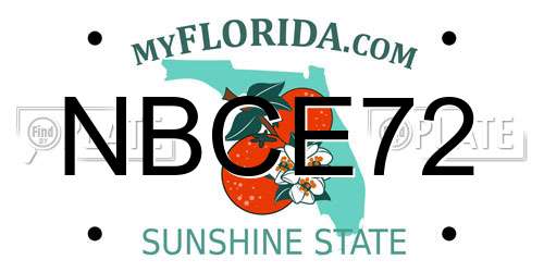 NBCE72 Florida License Plate