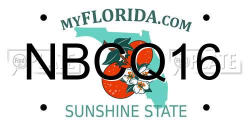 NBCQ16 Florida License Plate