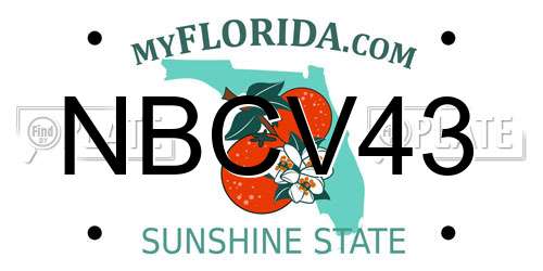 NBCV43 Florida License Plate