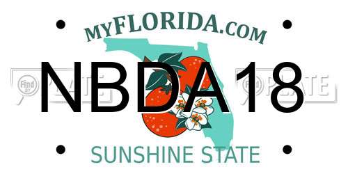 NBDA18 Florida License Plate
