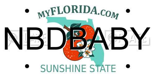 NBDBABY Florida License Plate