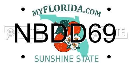 NBDD69 Florida License Plate