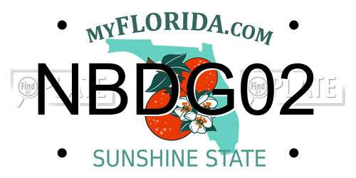 NBDG02 Florida License Plate