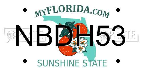 NBDH53 Florida License Plate