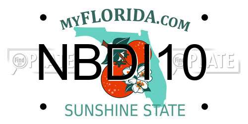 NBDI10 Florida License Plate