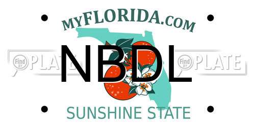 NBDL Florida License Plate