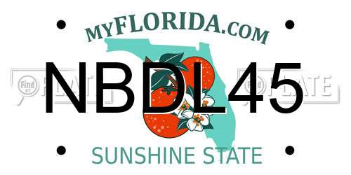 NBDL45 Florida License Plate
