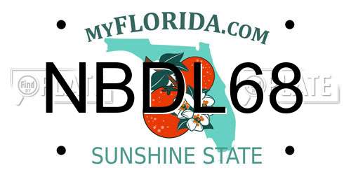 NBDL68 Florida License Plate