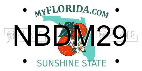 NBDM29 Florida License Plate