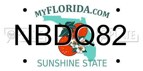 NBDQ82 Florida License Plate