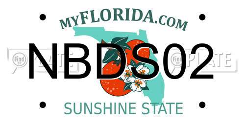 NBDS02 Florida License Plate