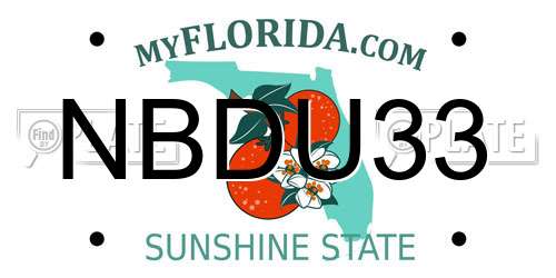 NBDU33 Florida License Plate