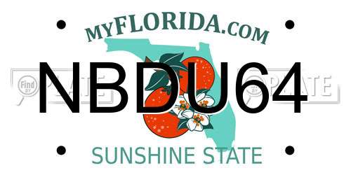 NBDU64 Florida License Plate