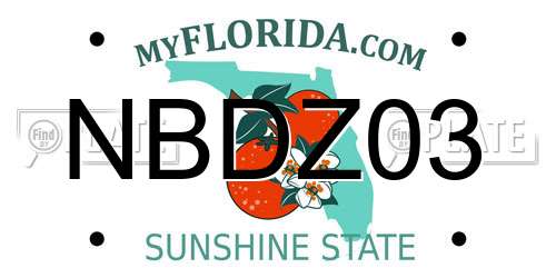 NBDZ03 Florida License Plate