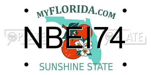 NBEI74 Florida License Plate