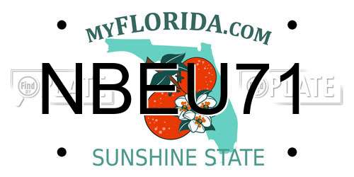 NBEU71 Florida License Plate