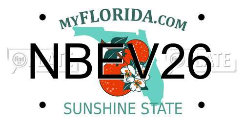 NBEV26 Florida License Plate