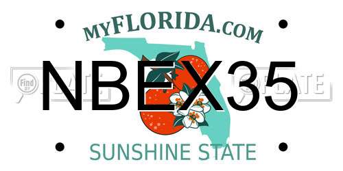 NBEX35 Florida License Plate