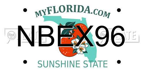 NBEX96 Florida License Plate