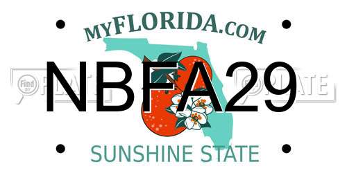 NBFA29 Florida License Plate